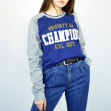 Vintage Champion sweatshirt jumper sweater pullover hoodie in blue and gray