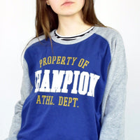 Vintage Champion sweatshirt jumper sweater pullover hoodie in blue and gray